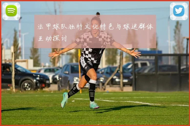 法甲球队独特文化特色与球迷群体互动探讨