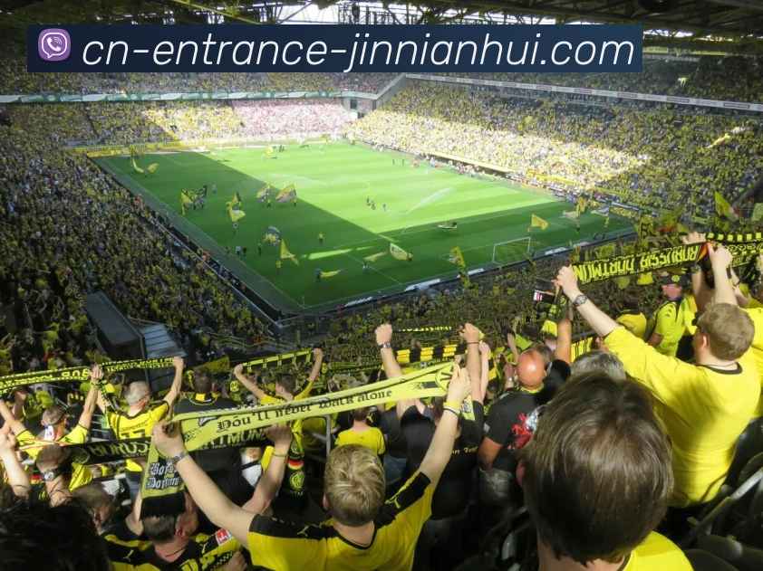 多媒体互动体验